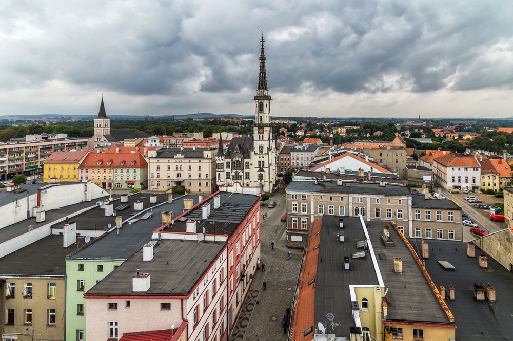 Co łączy Dolny Śląsk i monstrum z filmów grozy. Historia prawdziwa