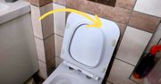 Spryskaj i nałóż na żółte plamy na desce sedesowej. Po kilku minutach nie będzie po nich śladu