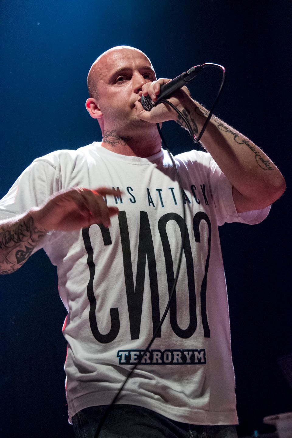 Obraz
