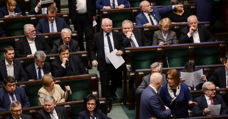 "Miłość do zwierząt wzięła górę". Sejm zaostrzył kary za znęcanie się nad zwierzętami