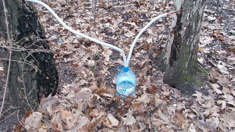 Warszawa. Strażnicy zdemontowali nielegalną instalację w lesie Bródnowskim