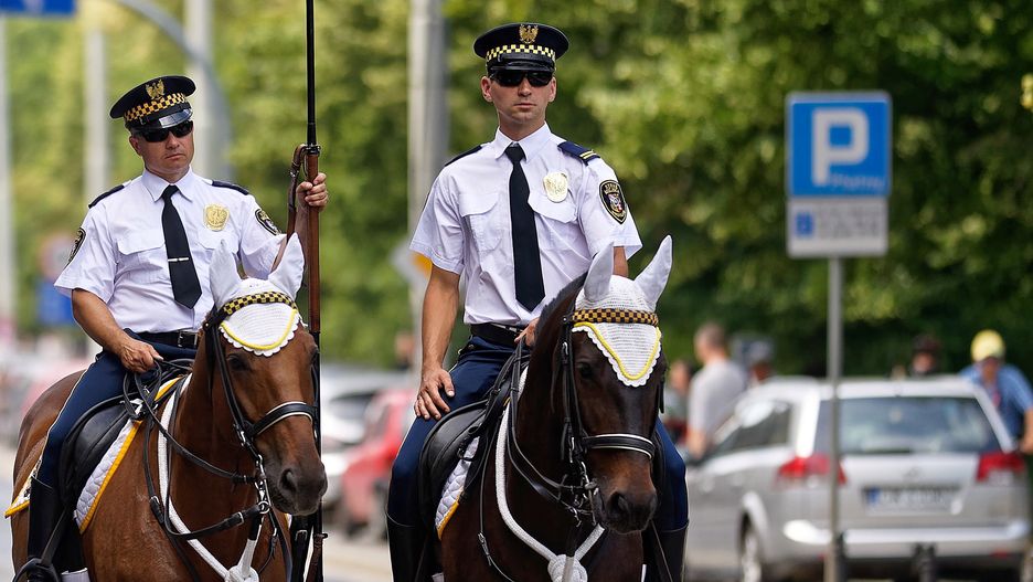Straż miejska ma dostać więcej broni palnej