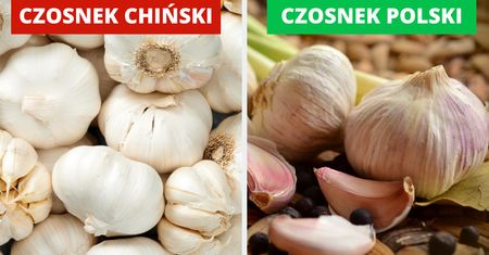 Jak odróżnić polski czosnek od chińskiego? Jeden z nich jest o wiele zdrowszy