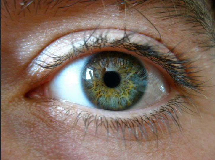 W jajkach występuje duże stężenie luteiny i zeaksantyny, które to pomagają chronić oczy przed szkodliwym promieniowaniem i regenerują komórki.