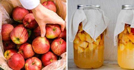 Tej jesieni pokuś się o samodzielne zrobienie octu jabłkowego. Ma więcej dobroczynnych właściwości niż myślisz