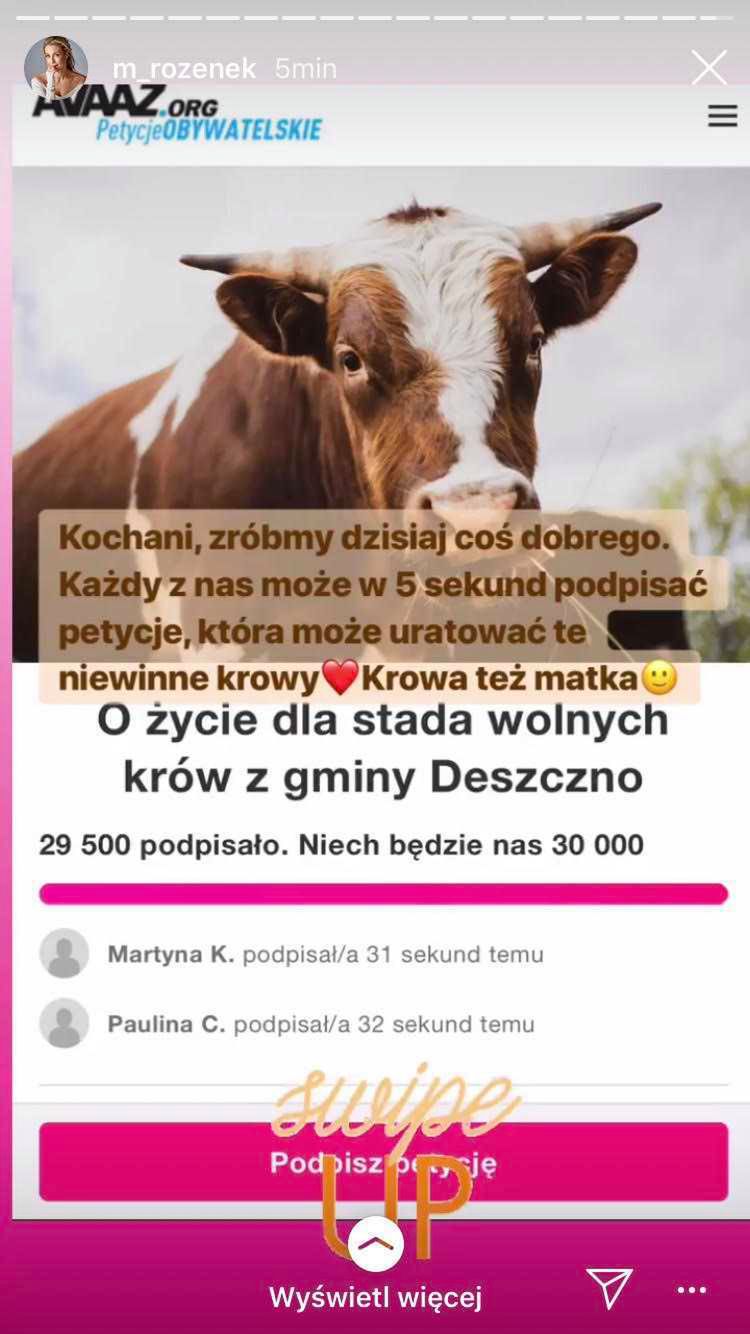 Małgorzata Rozenek - gwiazdy bronią wolnych krów