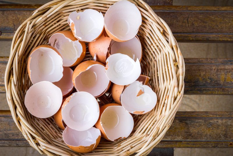 Skorupki jajek - jak wykorzystać je w nietypowy sposób?