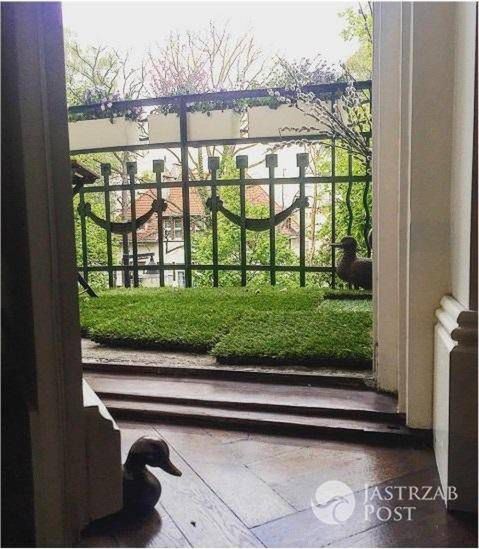 Marta Kaczyńska pokazała wnętrza swojego mieszkania - Odziedziczyła je po rodzicach