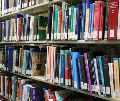 Bibliotekarka okradła 100 osób. Przez lata wykorzystywała dane czytelników