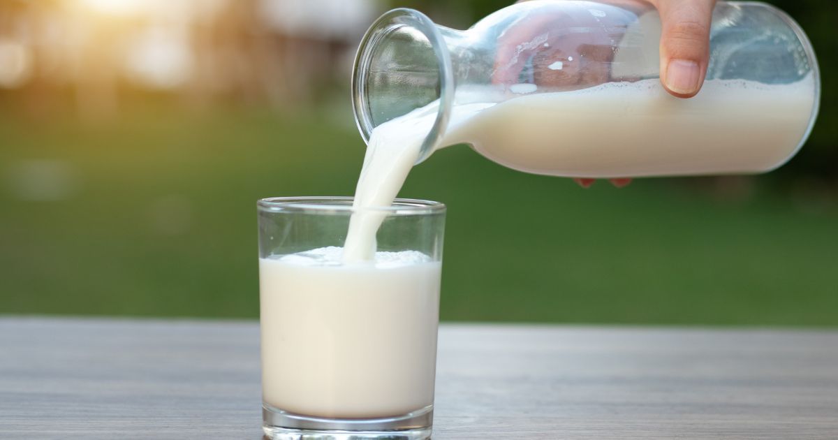 Szklanka mleka - Pyszności; Foto: Canva.com