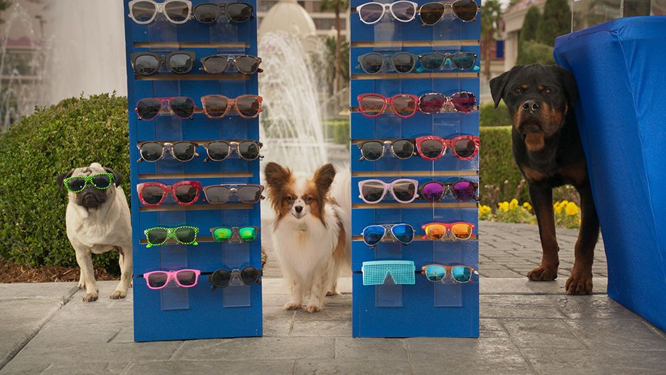 "Wyszczekani" w kinach od 1 czerwca