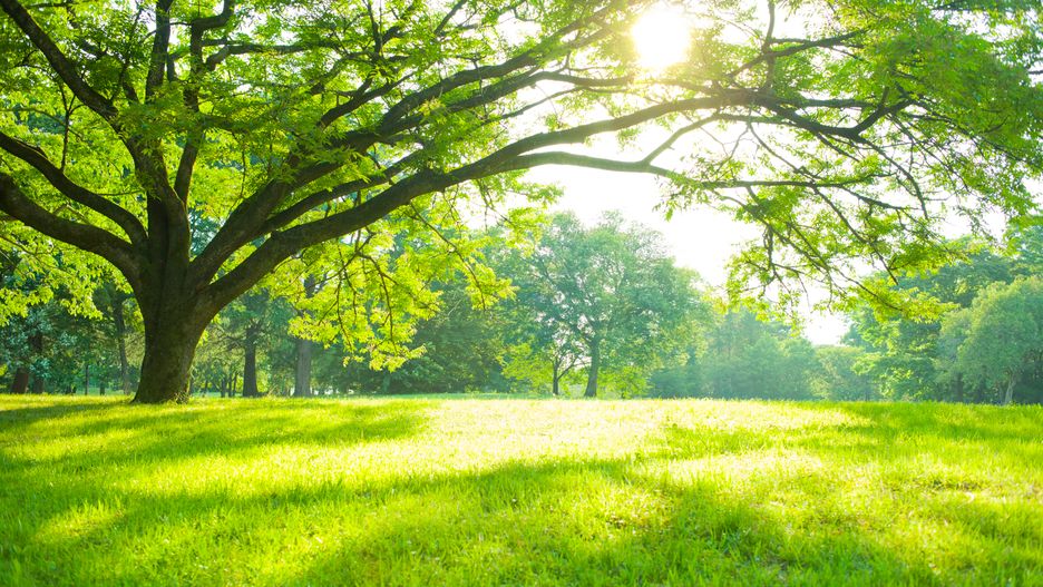 Pogoda na weekend zapowiada się ciepło i słonecznie. Jednak w niektórych rejonach kraju może spaść deszcz.