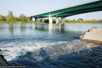 Awaria oczyszczalni w Warszawie. "Bałtyk jest jednym wielkim szambem"