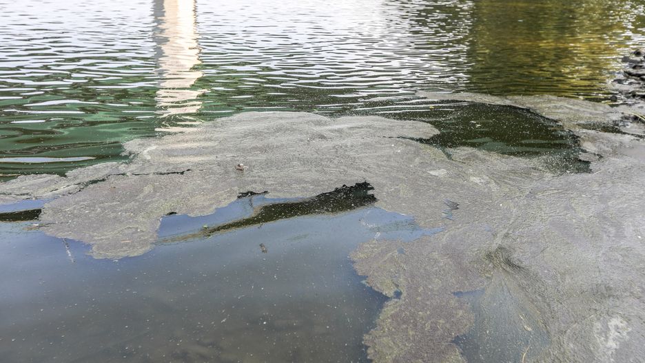 Warszawa. Awaria w oczyszczalni ścieków "Czajka"