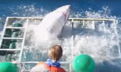 Nurek uwięziony w klatce z rekinem cudem uniknął śmierci