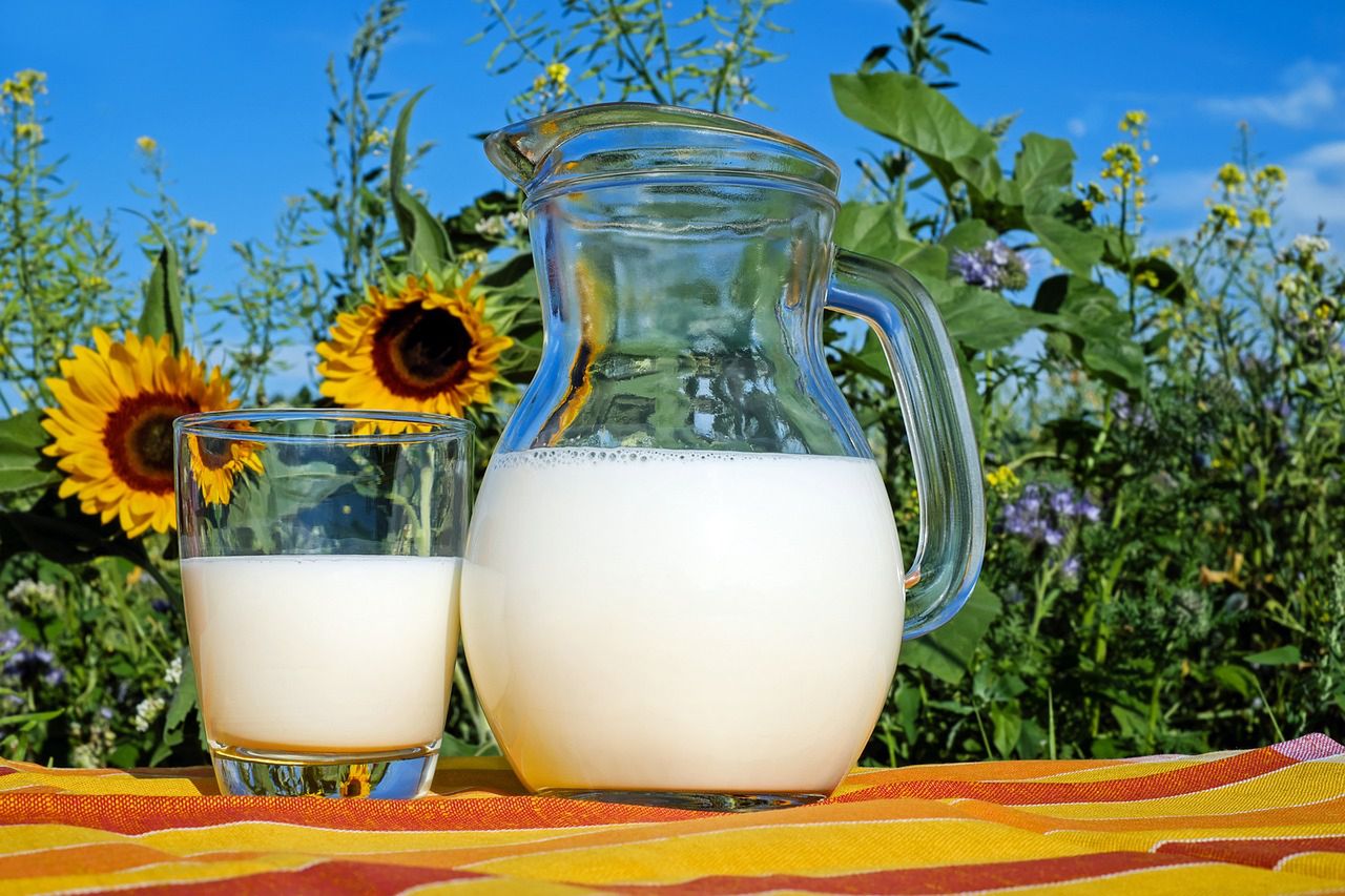 Mleko - Pyszności; Foto pixabay.com