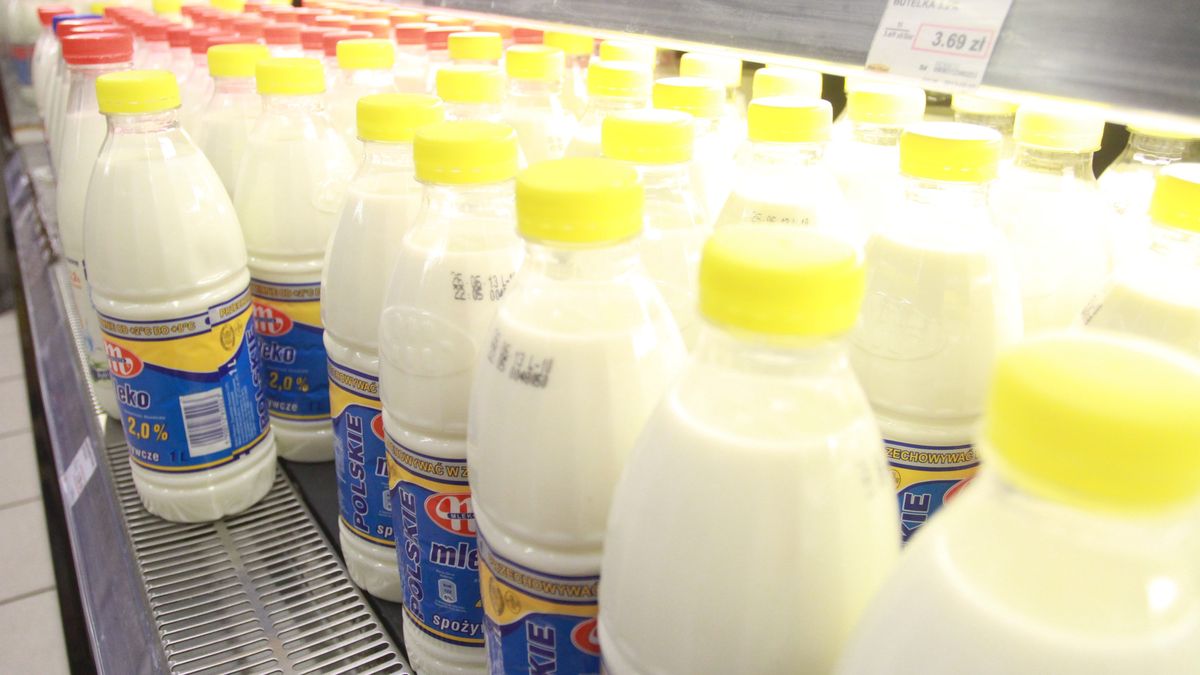Mleko krowie i roślinne będzie objęte taką samą stawką. Dzięki interwencji Senatu