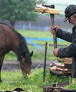 Rosja nie chce białoruskiego mleka