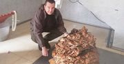 Największy grzyb na świecie. Znaleziono go w Hiszpanii