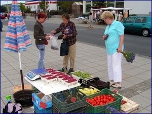 Niemcy: handel obwoźny i usługi transportowe