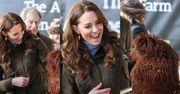 Roześmiana Kate Middleton zachwyca się alpakami podczas wizyty na farmie (ZDJĘCIA)