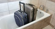 Pluskwy w hotelu to nie problem, od kiedy stosuję jeden trik