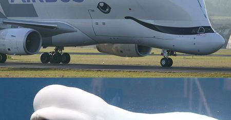 Airbus BelugaXL wchodzi do służby