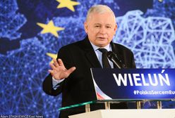 Gryźcie trawę. Jarosław Kaczyński zagrzewa do boju i reaguje na celne ciosy PO