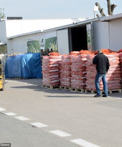 Wrocław. Ciało kobiety na terenie giełdy rolnej