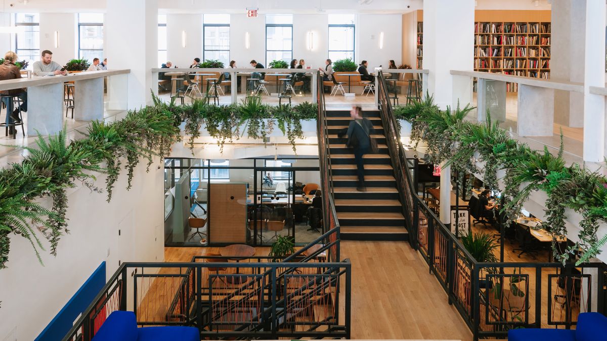 Wyceniany na 47 mld dolarów WeWork planuje w tym roku debiut na giełdzie