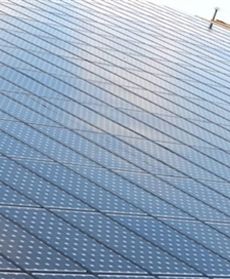 "Energia zamiast warzyw"