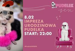 "Pudelek" zaprasza na urodziny. Ukochana strona wielbicieli showbiznesu wkrótce skończy 14 lat!