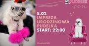 "Pudelek" zaprasza na urodziny. Ukochana strona wielbicieli showbiznesu wkrótce skończy 14 lat!
