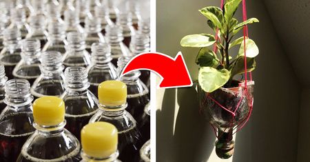 Jak ponownie wykorzystać plastikowe butelki? 16 inspiracji