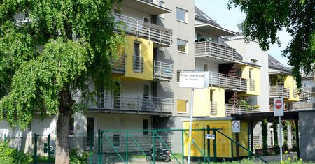 "Wirtualne Drzewo", czyli 10 tys. drzew na wrocławskich Osobowicach