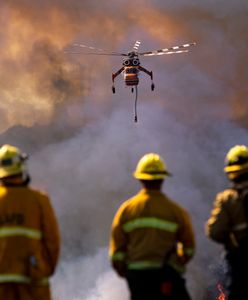 Kalifornia w ogniu. Pożar w Los Angeles. Ewakuacja kilkudziesięciu tysięcy osób