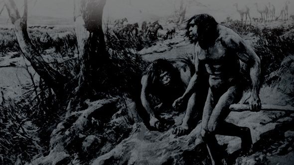 Hesperopithecus miał być brakującym ogniwem ewolucji
