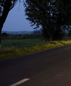 “Uczestnik ruchu to każdy z nas”. Zadbaj o swoją widoczność na drodze