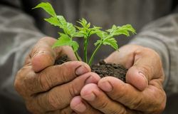 Zmiany klimatu wykończą mężczyzn