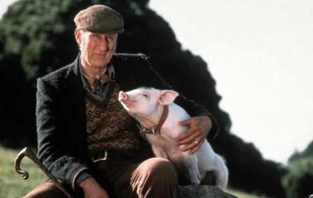 James Cromwell ponownie aresztowany