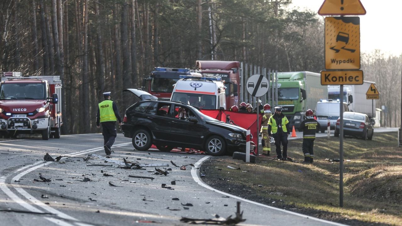 Bociąga: "Samochodowa rasa panów, czyli urodzeni mordercy" (Opinia)