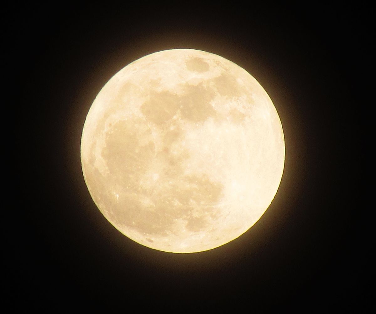 "Zimny Księżyc" wzejdzie w tym tygodniu. Przed nami wyjątkowa pełnia Księżyca