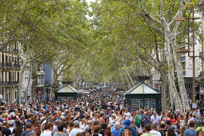 W zamachu w Barcelonie zginęło 13 osób