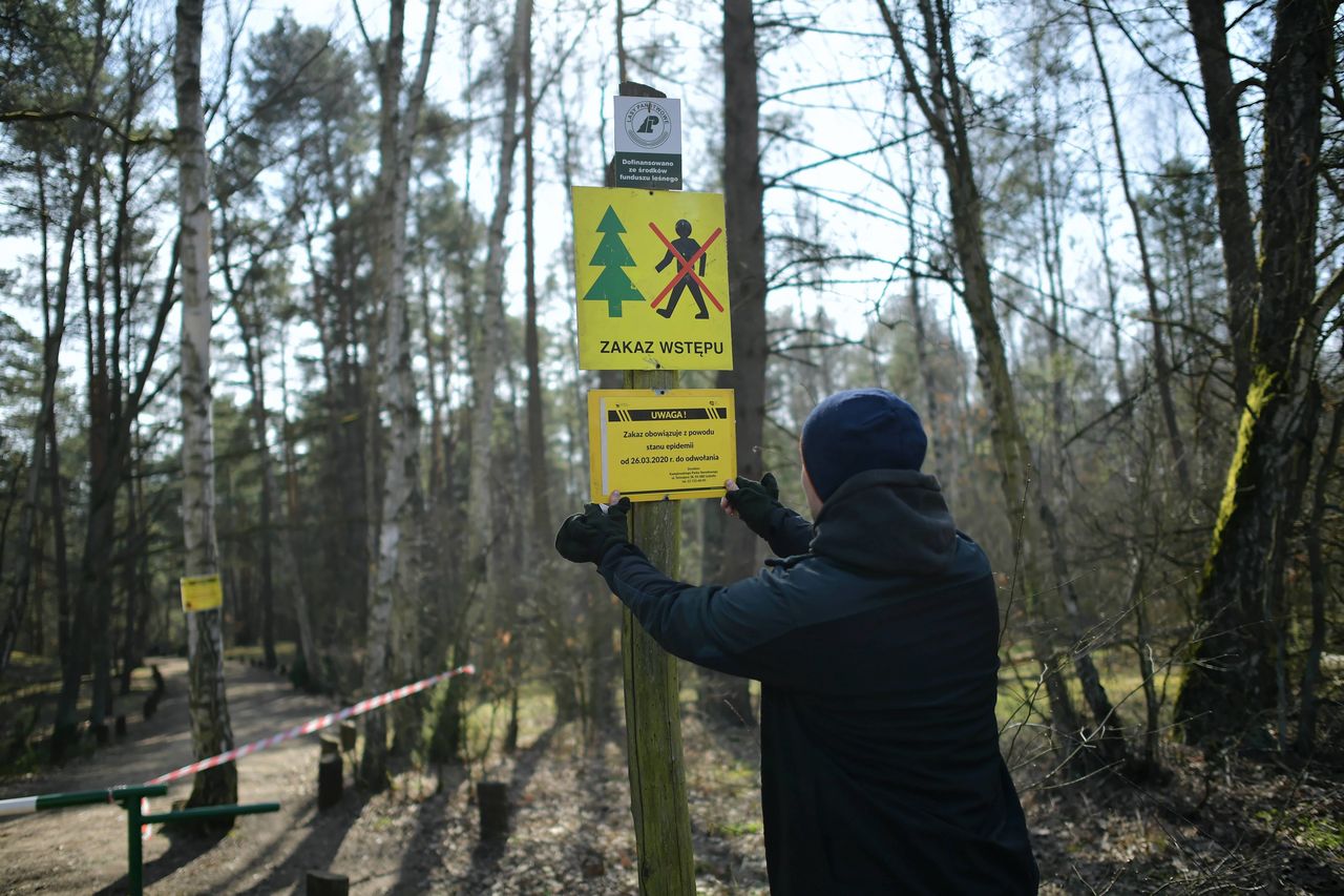 Jest odpowiedź na zakaz wstępu do lasu. Prywatni właściciele lasów udostępniają swoje tereny do spacerów