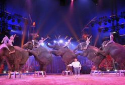 Festiwal sztuki cyrkowej