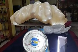Największa perła świata waży 34 kg