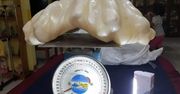 Największa perła świata waży 34 kg