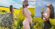 Rolnicy oburzeni zachowaniem gwiazd. Porównują je do szkodników, które niszczą uprawy. Kto im podpadł?