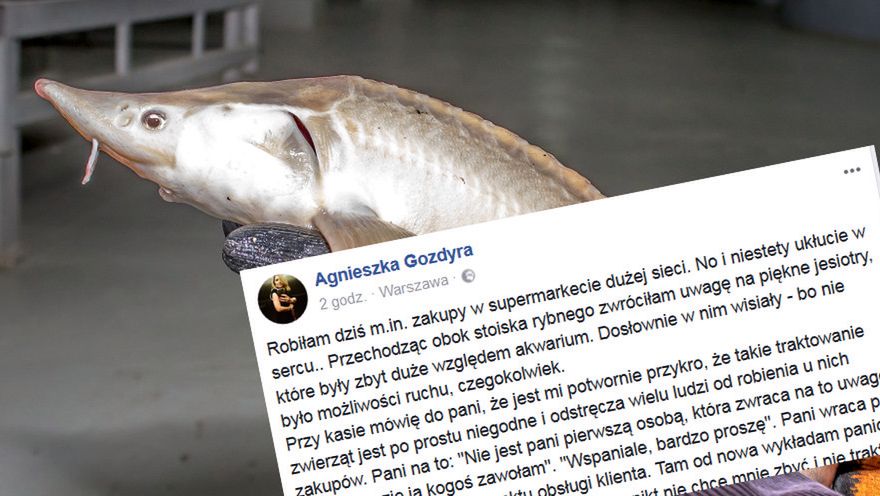Widok ściśniętych ryb załamał dziennikarkę Polsatu