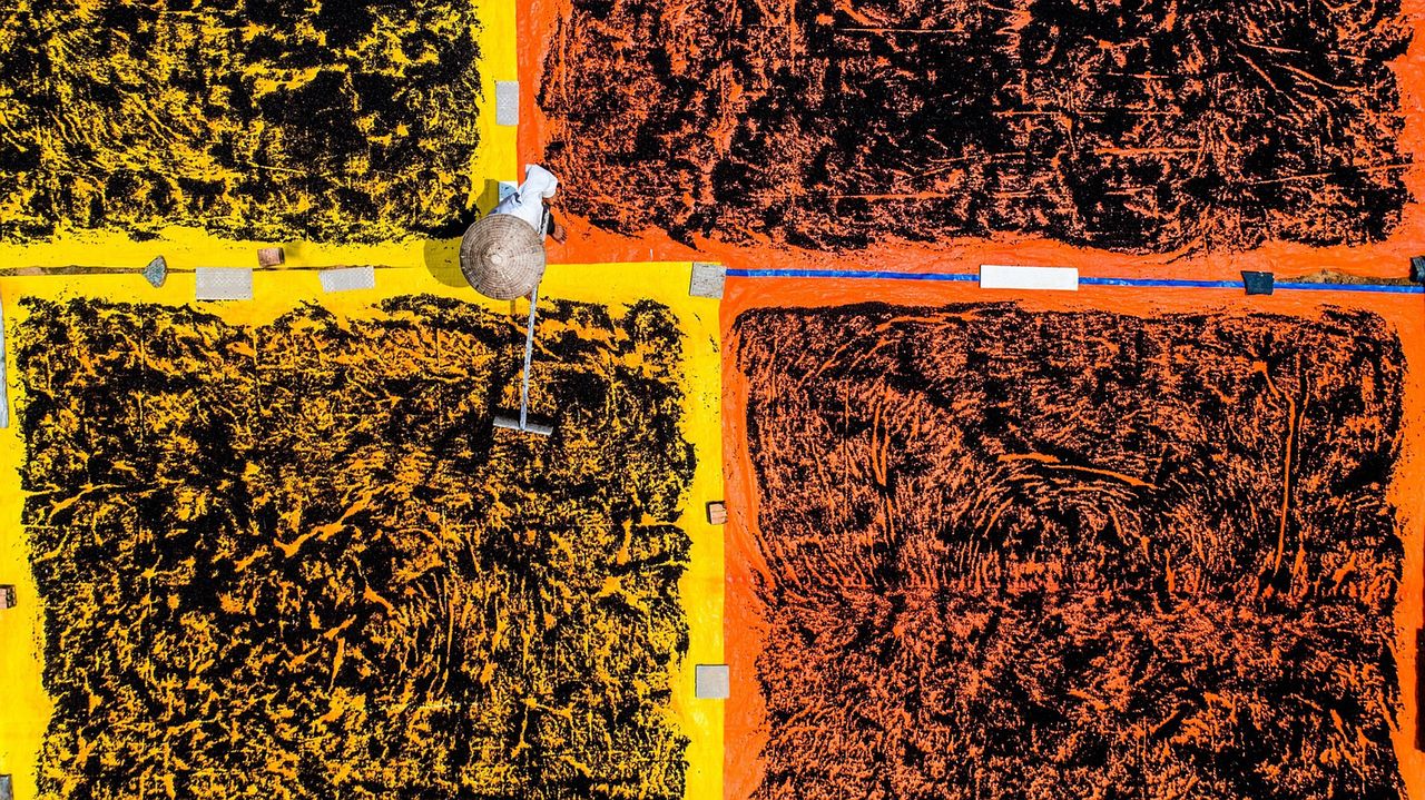 Weekendowy Magazyn WP. To się czyta